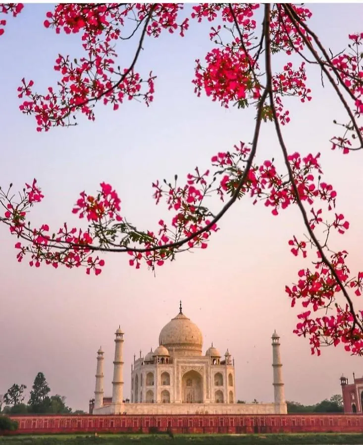 Aradhana'S Home Stay Agra  India